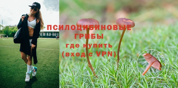 гидропоника Дмитров