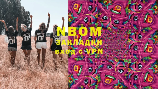 стаф Елизово