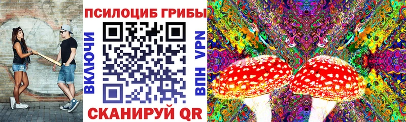 Купить Елизово Галлюциногенные грибы GOLDEN TEACHER