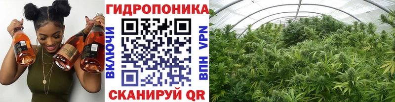 Купить где  Елизово  Каннабис VHQ 
